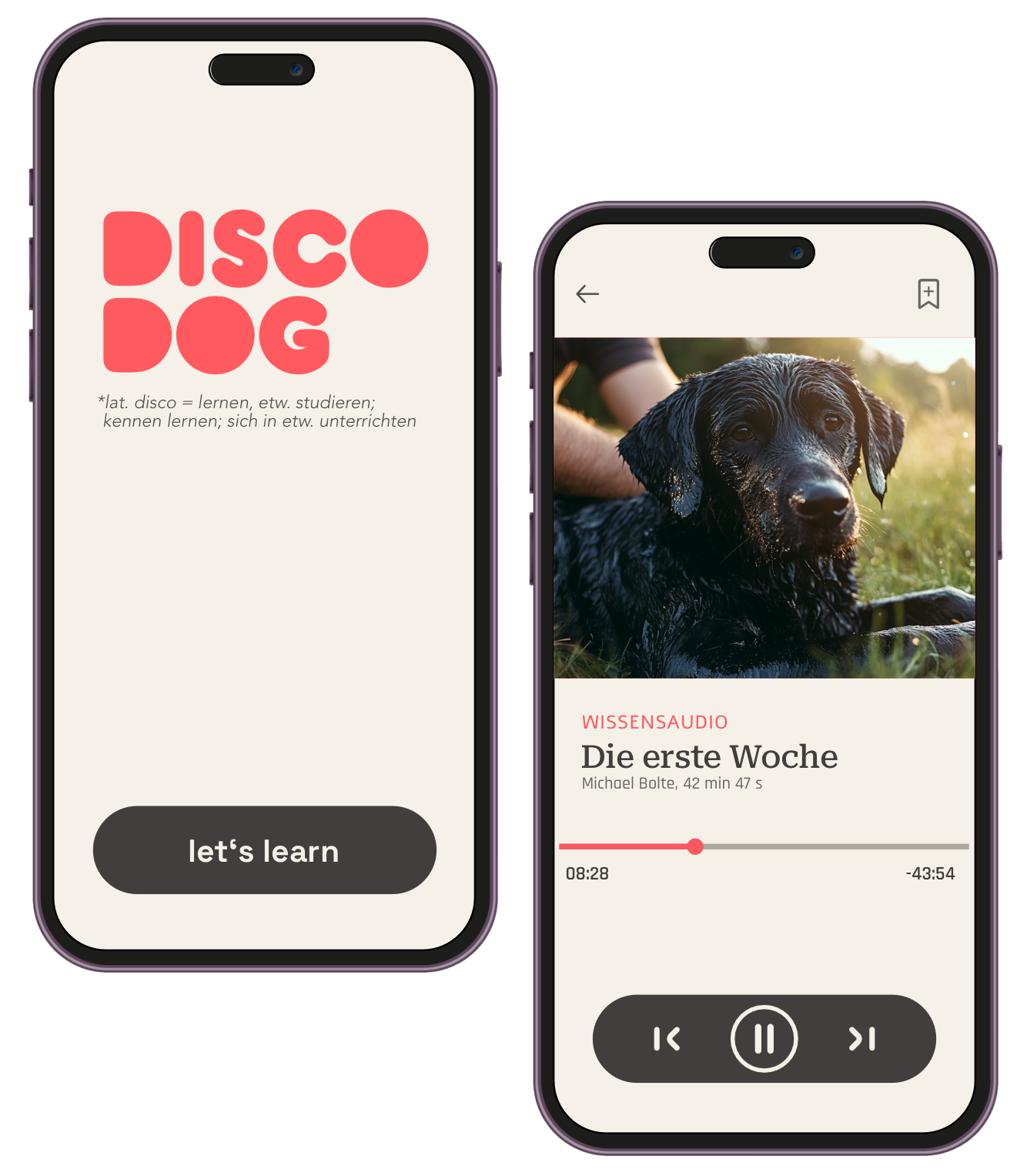 DiscoDog App